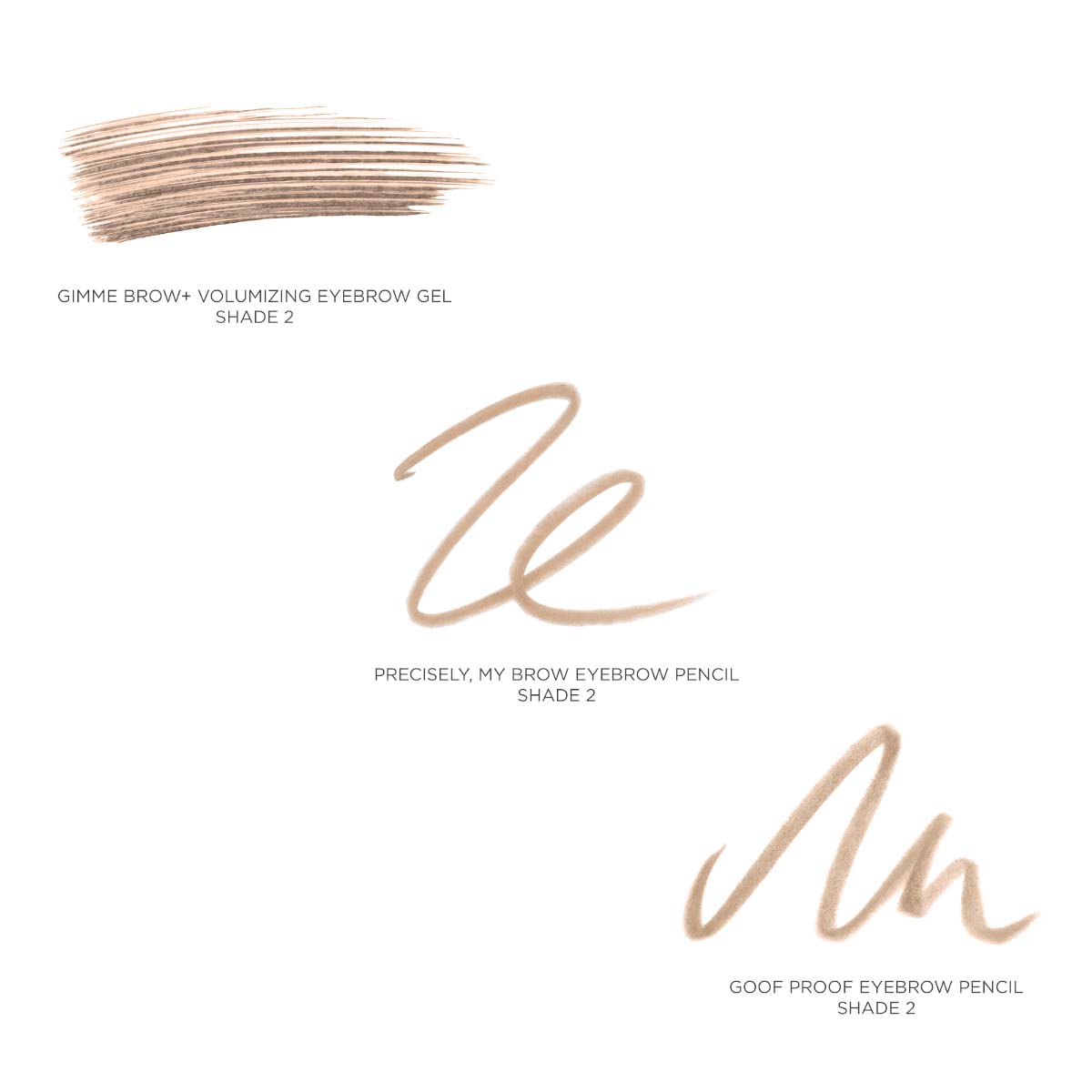 THE GREAT BROW BASICS